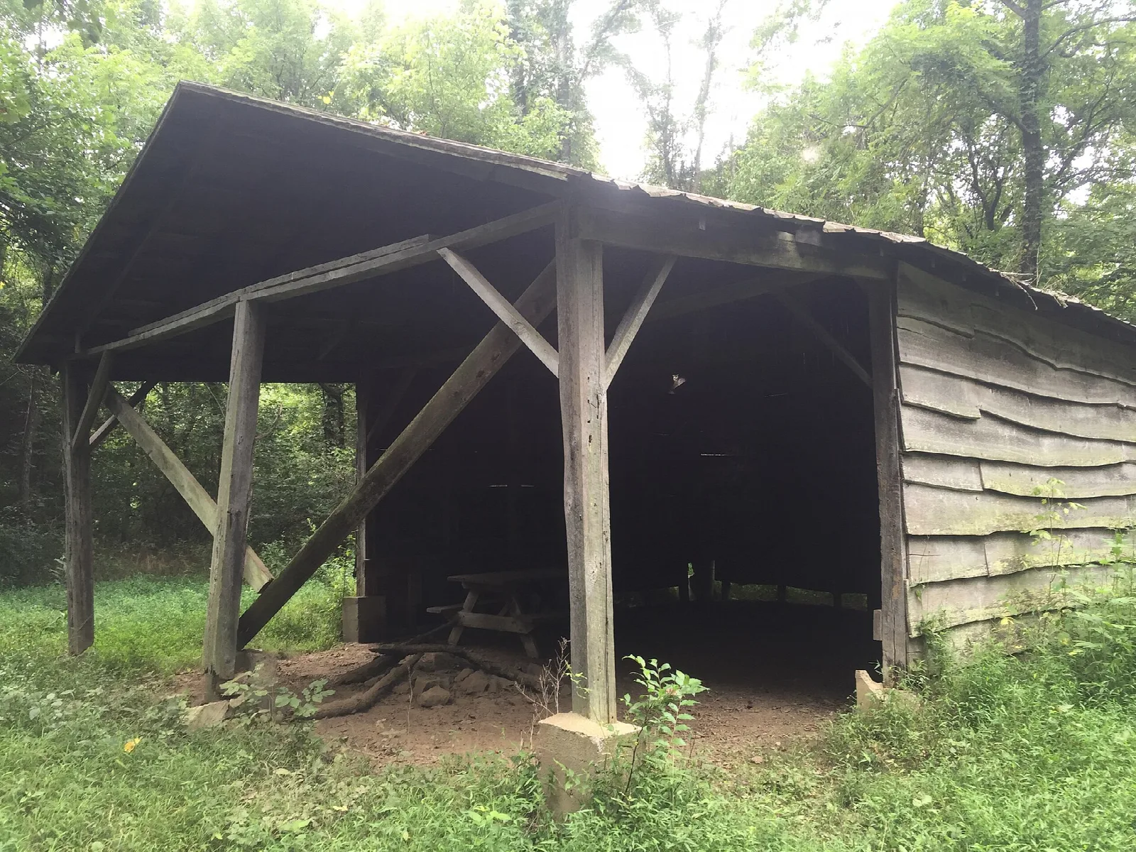 Open-sided wooden shelter with a low roof beside a grassy clearing in the woods