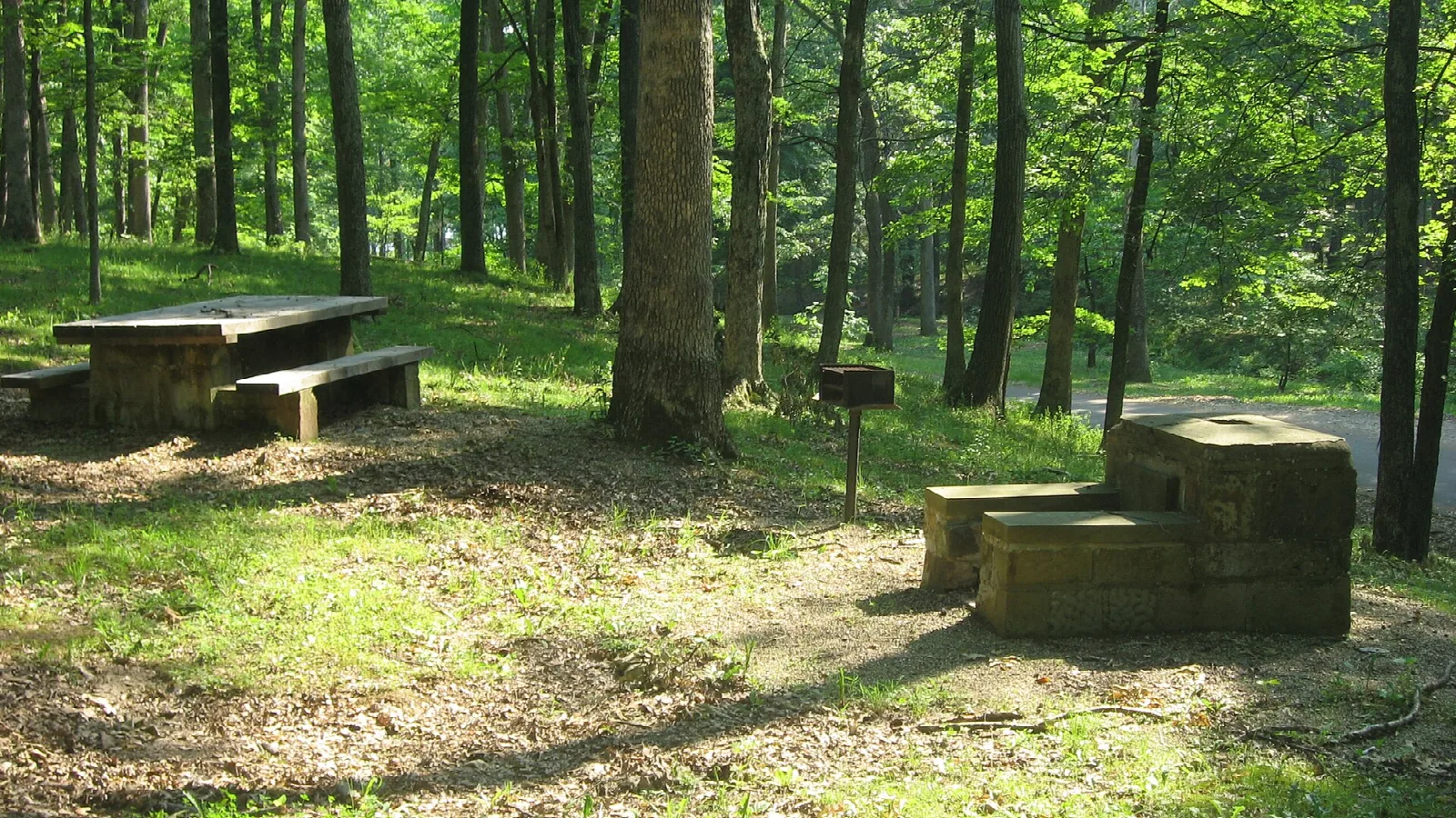 Stone picnic table and fireplace in a shady green wooded picnic area