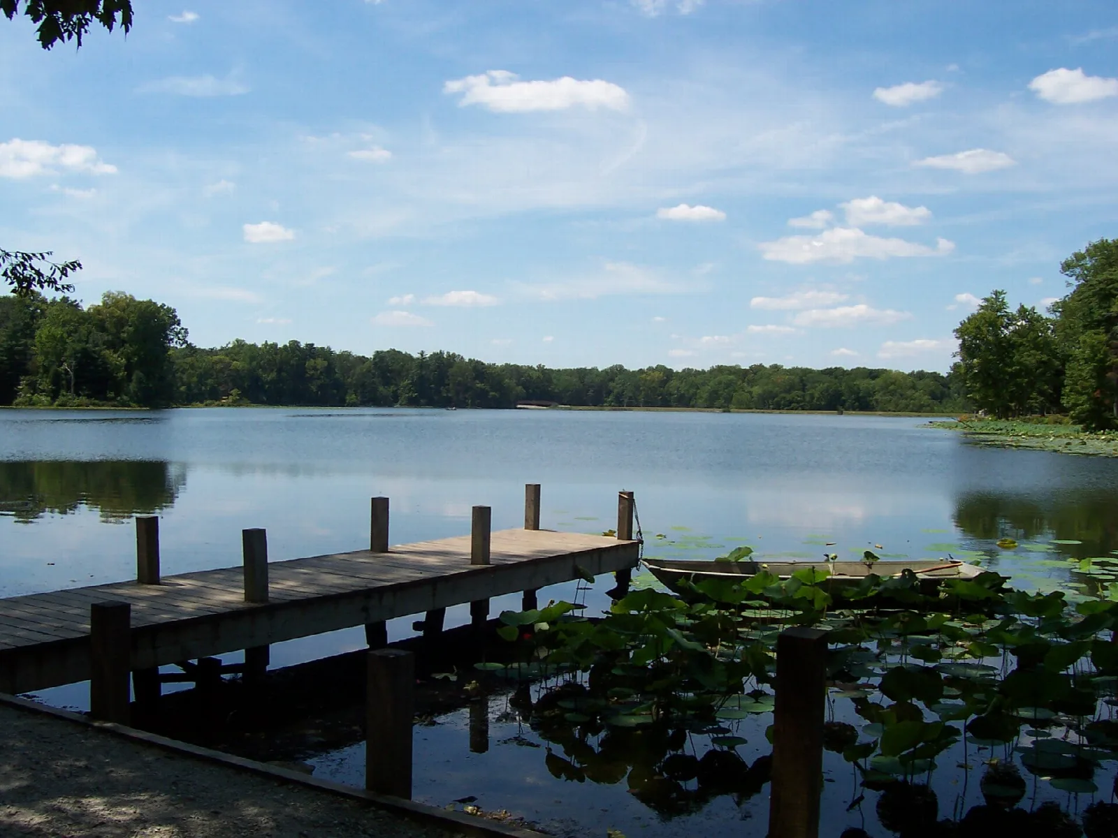 Calm lake under a blue sky with a wooden dock and lily pads in the foreground