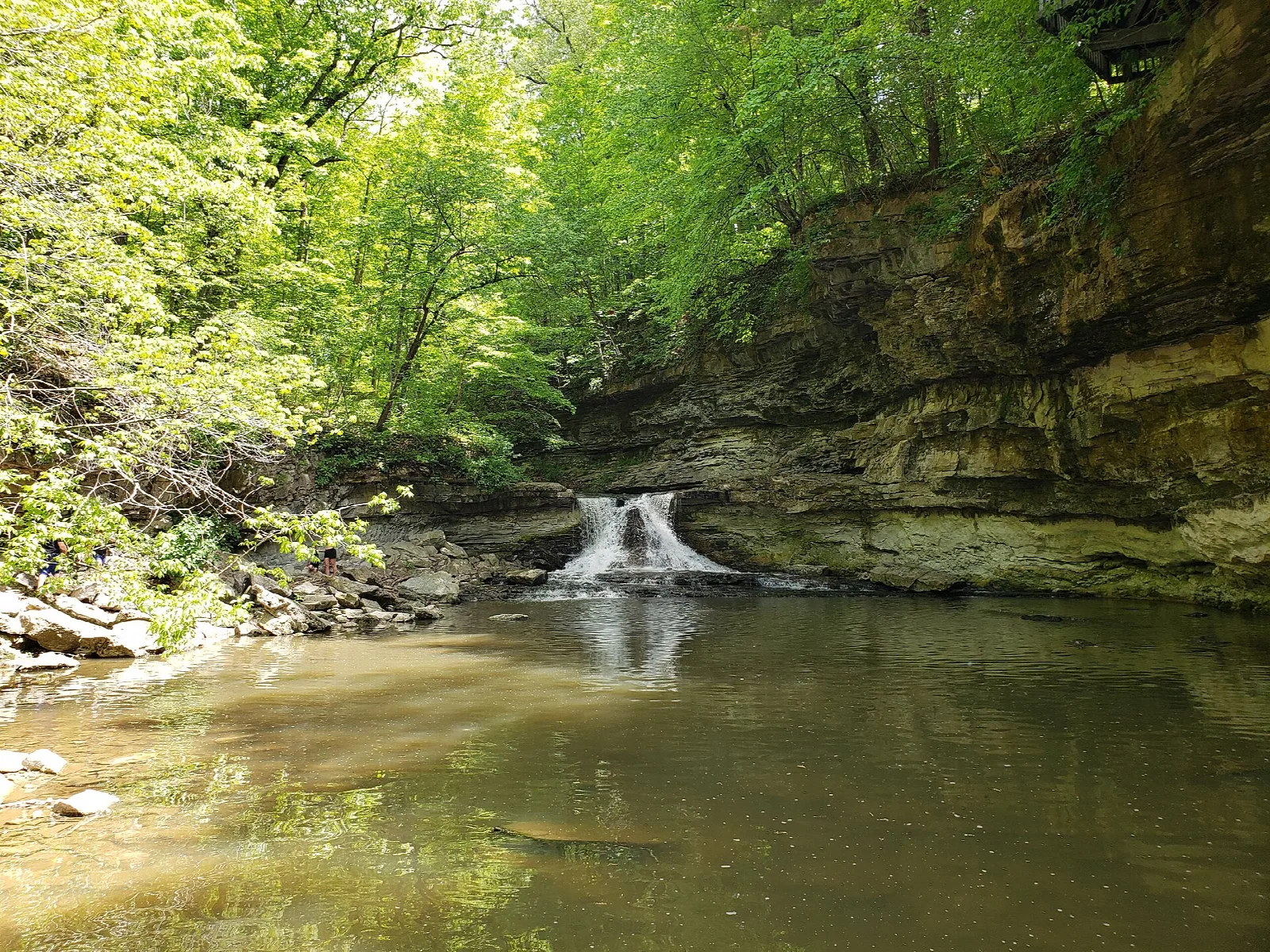 Small waterfall over a rock ledge into a pool, with green trees above
