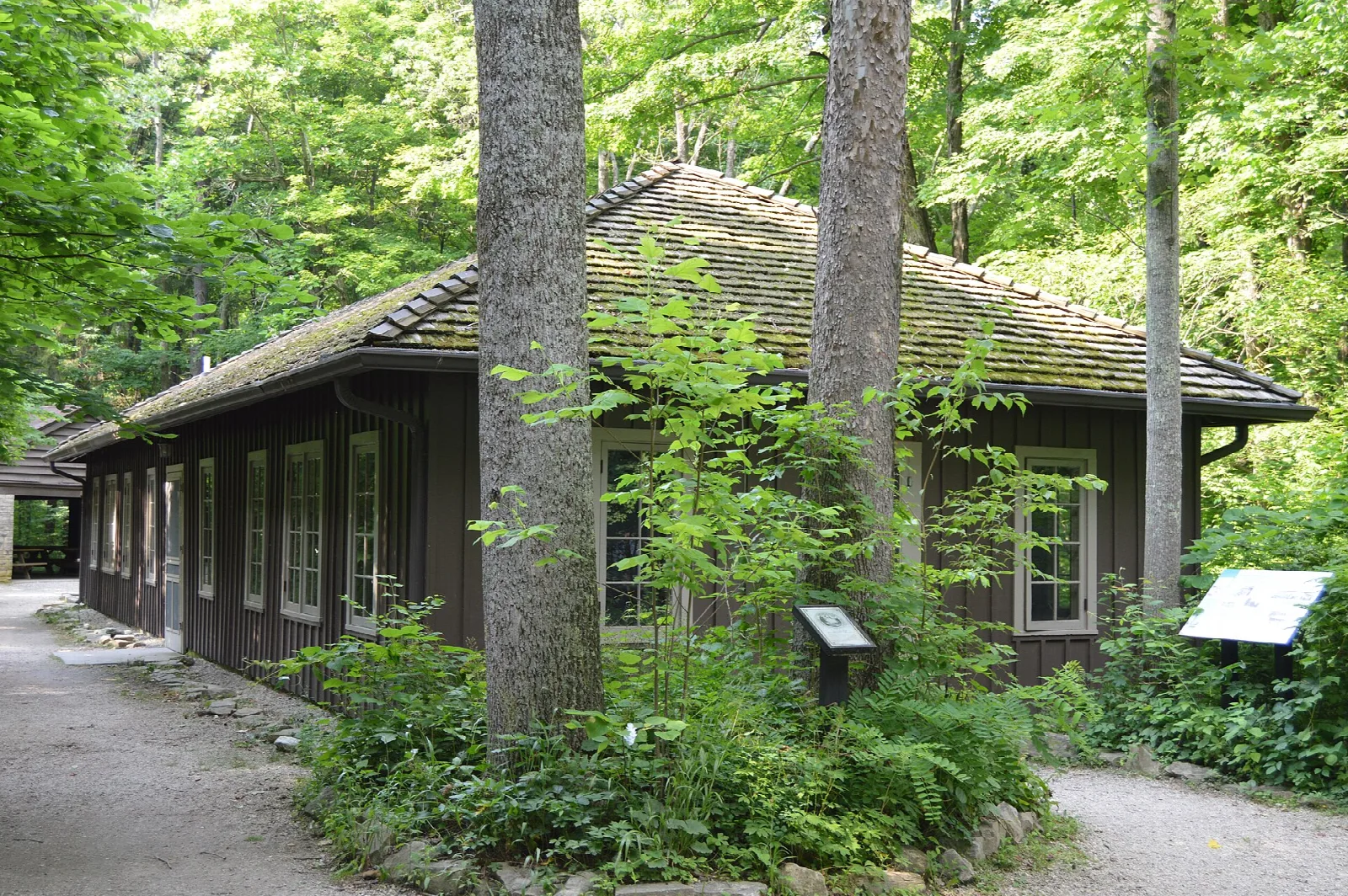 Low dark-wood building with a shingle roof among tall trees