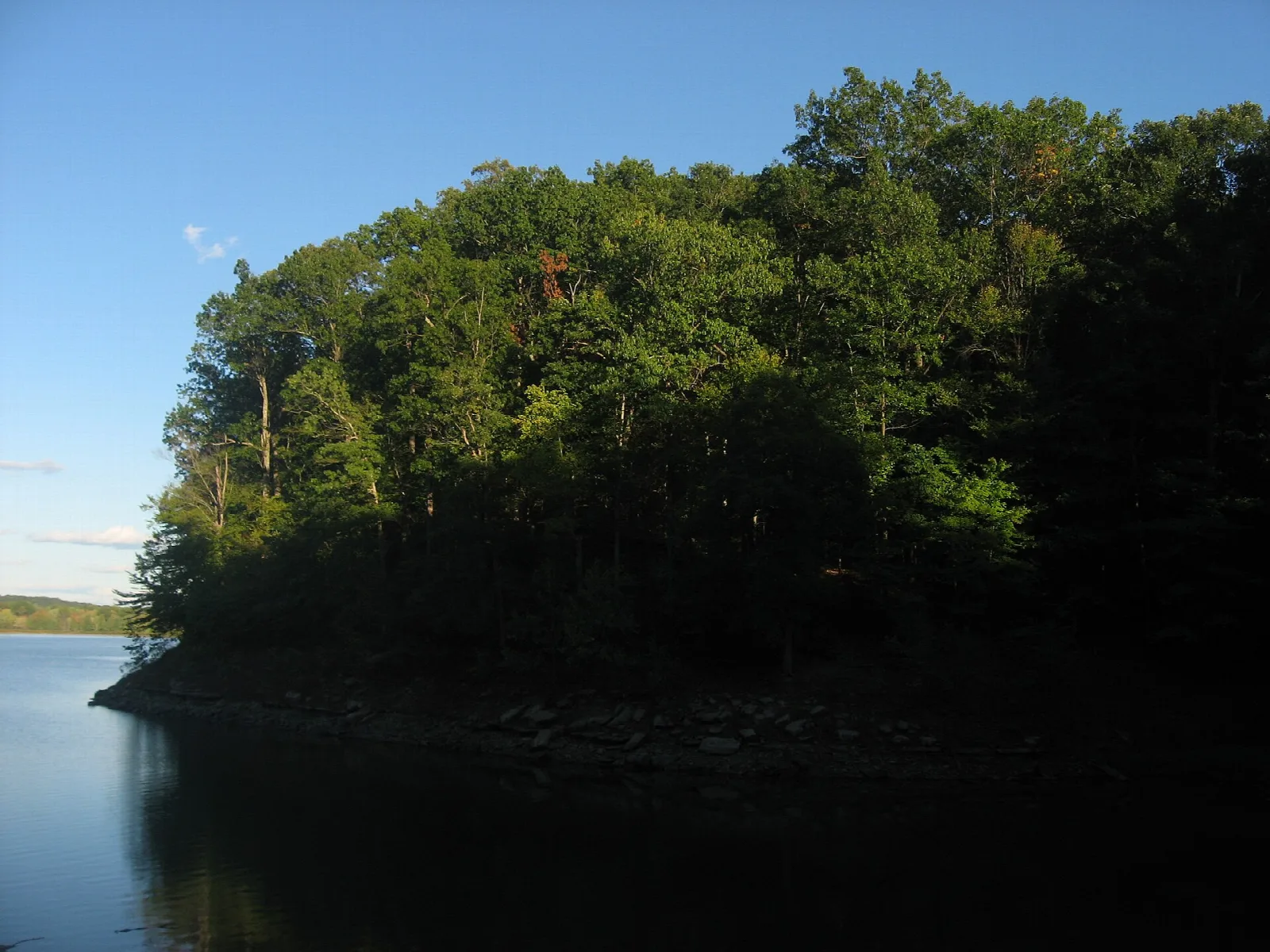 Forested peninsula of dark green trees on the edge of a calm blue lake