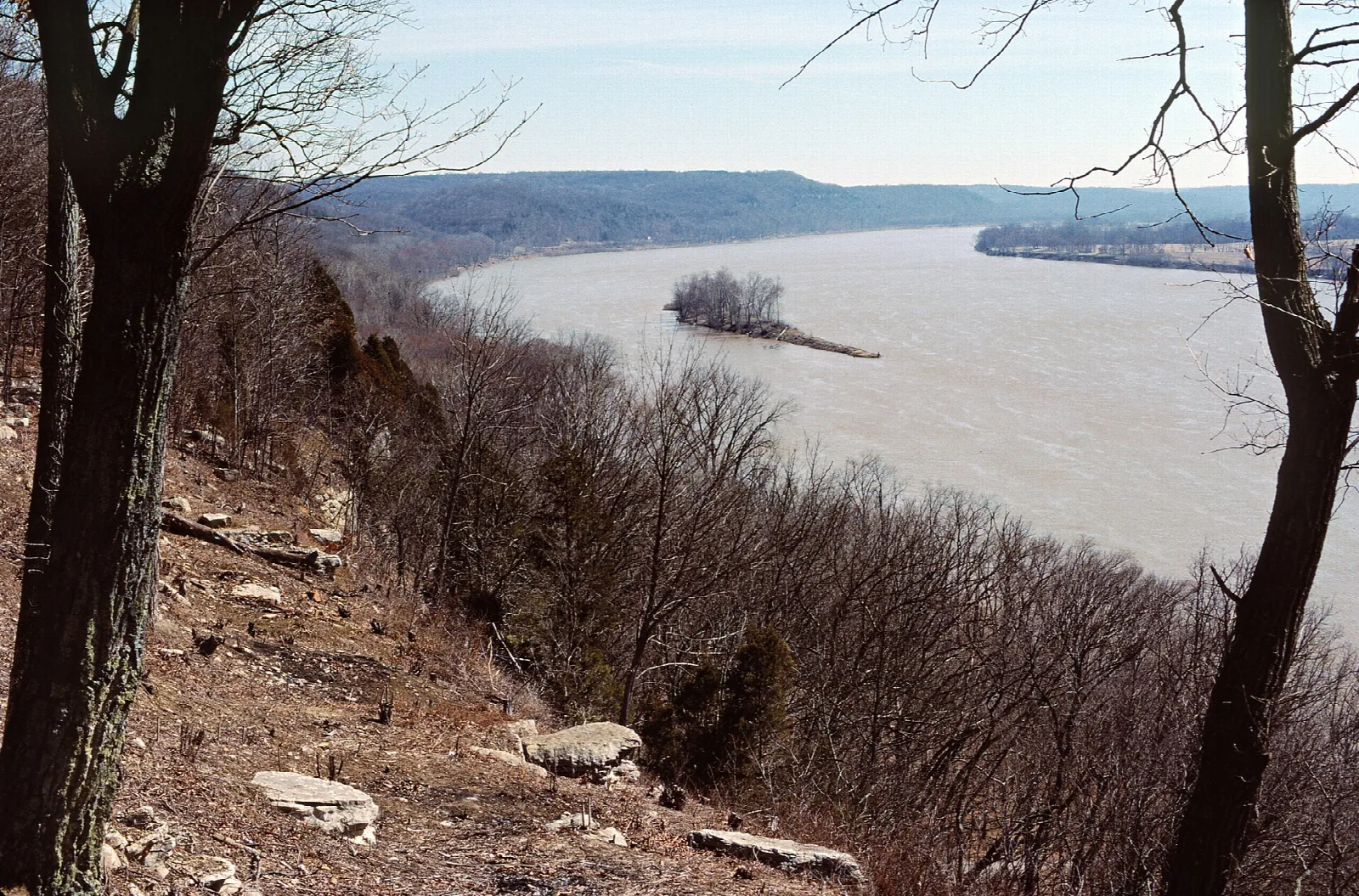 Wide river with an island seen from a wooded bluff under a pale sky