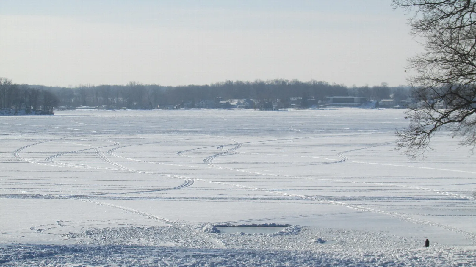 Frozen lake with a wooded far shore under a pale winter sky