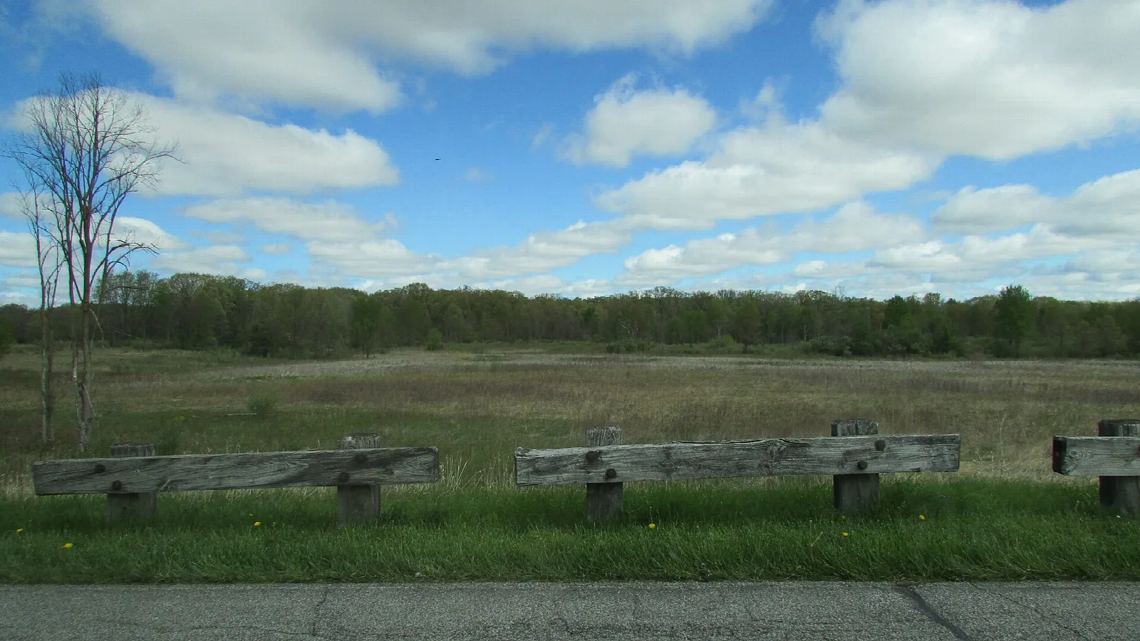 Wide grassy wetland with a tree line behind a low wooden rail and path