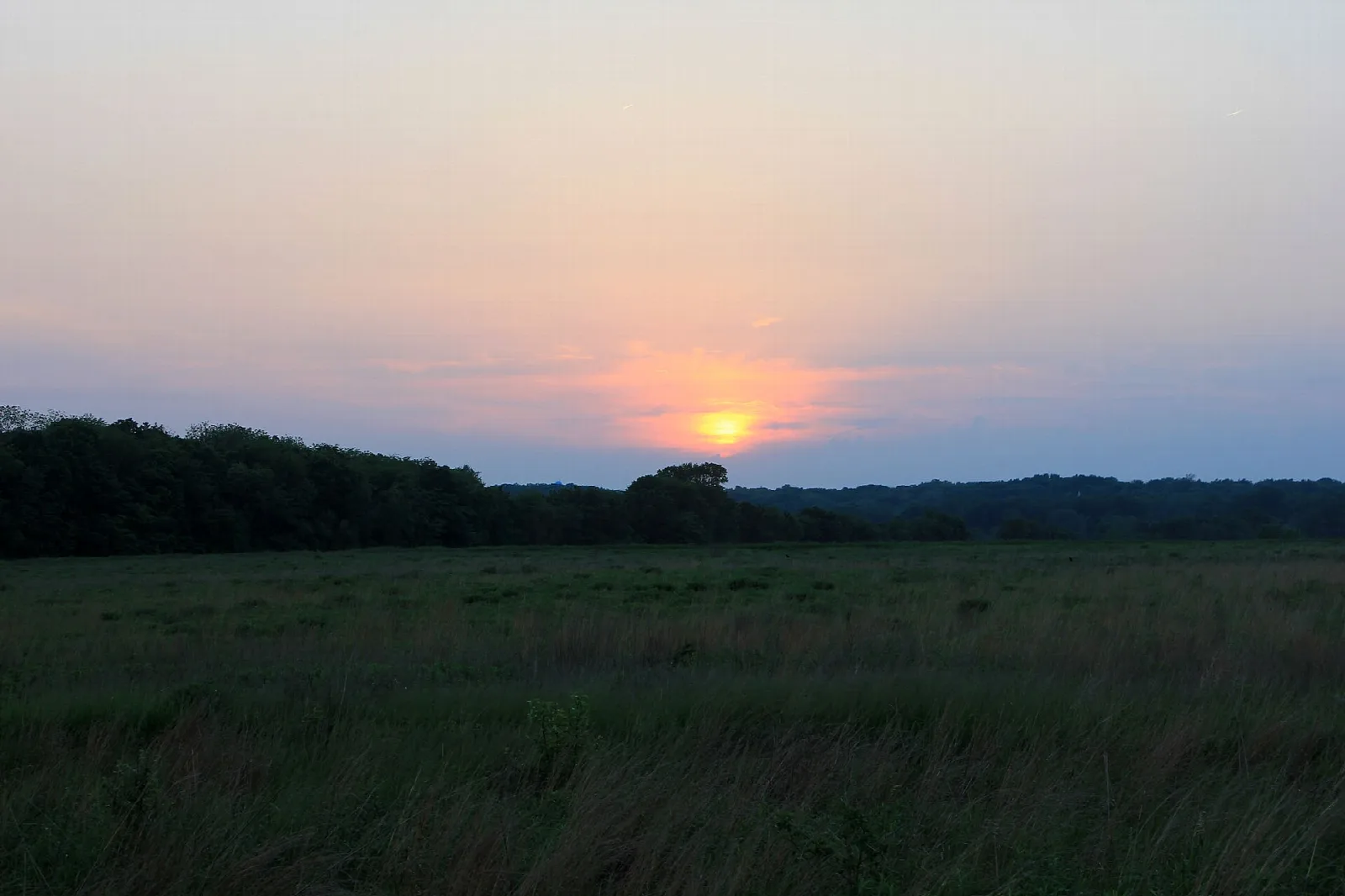 Sun setting low over open grassland with a tree line on the horizon