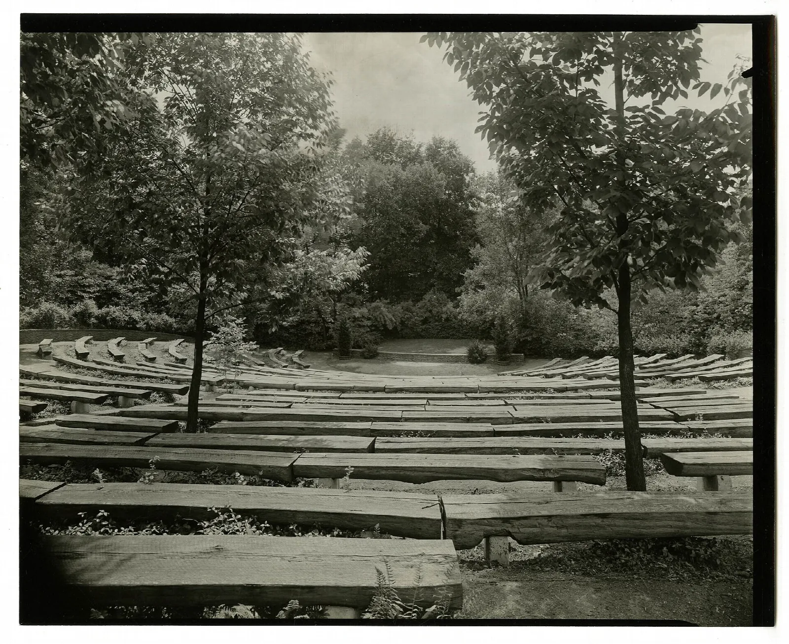 Black and white photo of rows of wooden benches in a shaded amphitheater among trees