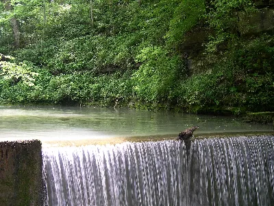 Spring Mill State Park
