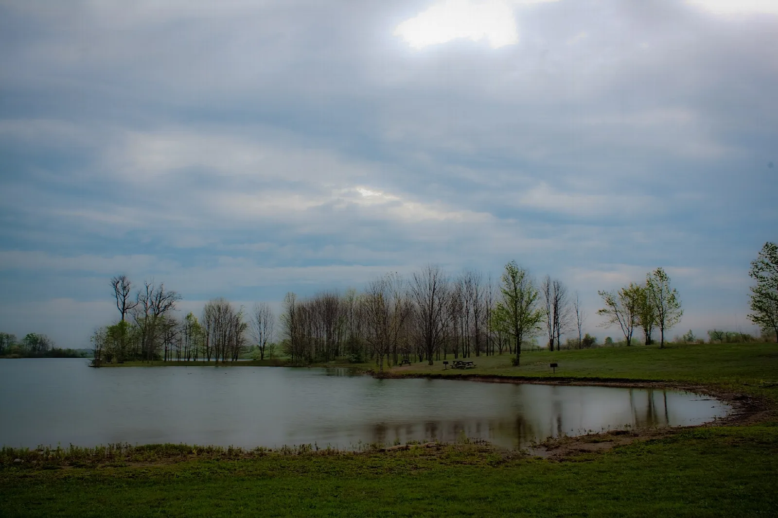 Lake inlet with a grassy shore and a line of trees under a cloudy sky