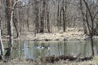 Tippecanoe River State Park