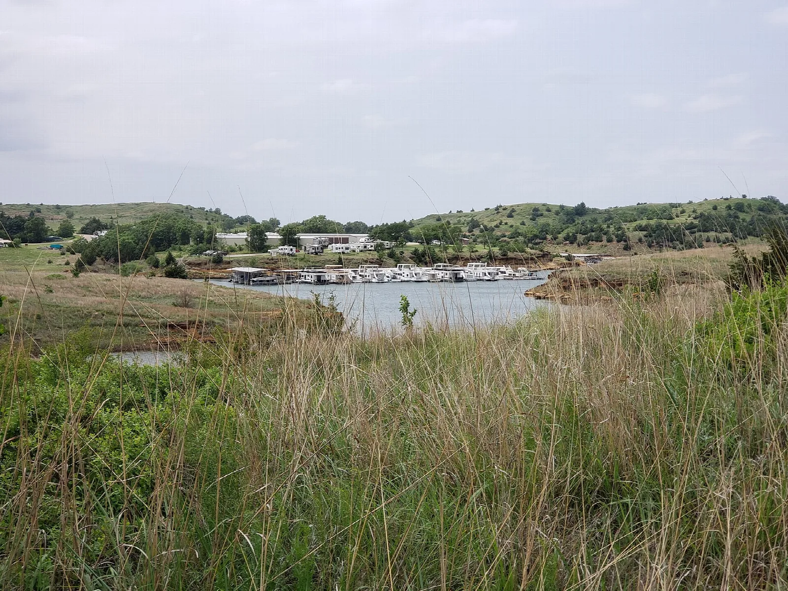 Marina on a lake seen through tall grass