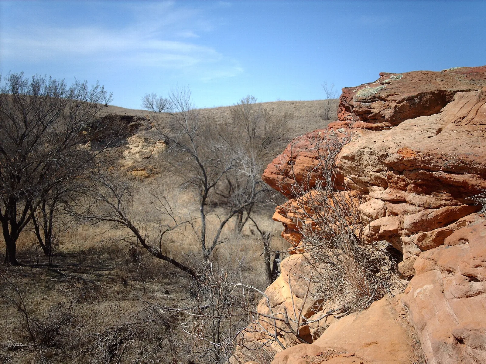 Red sandstone bluff above a dry wooded draw under a blue sky