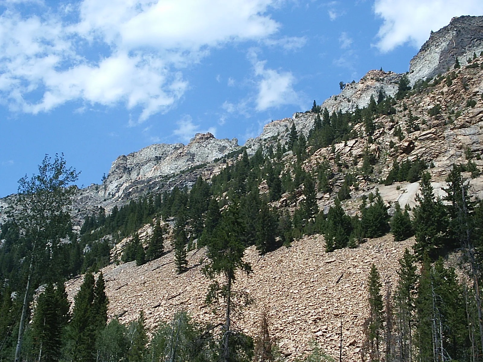 Pale limestone cliffs rising above a forested canyon under blue sky