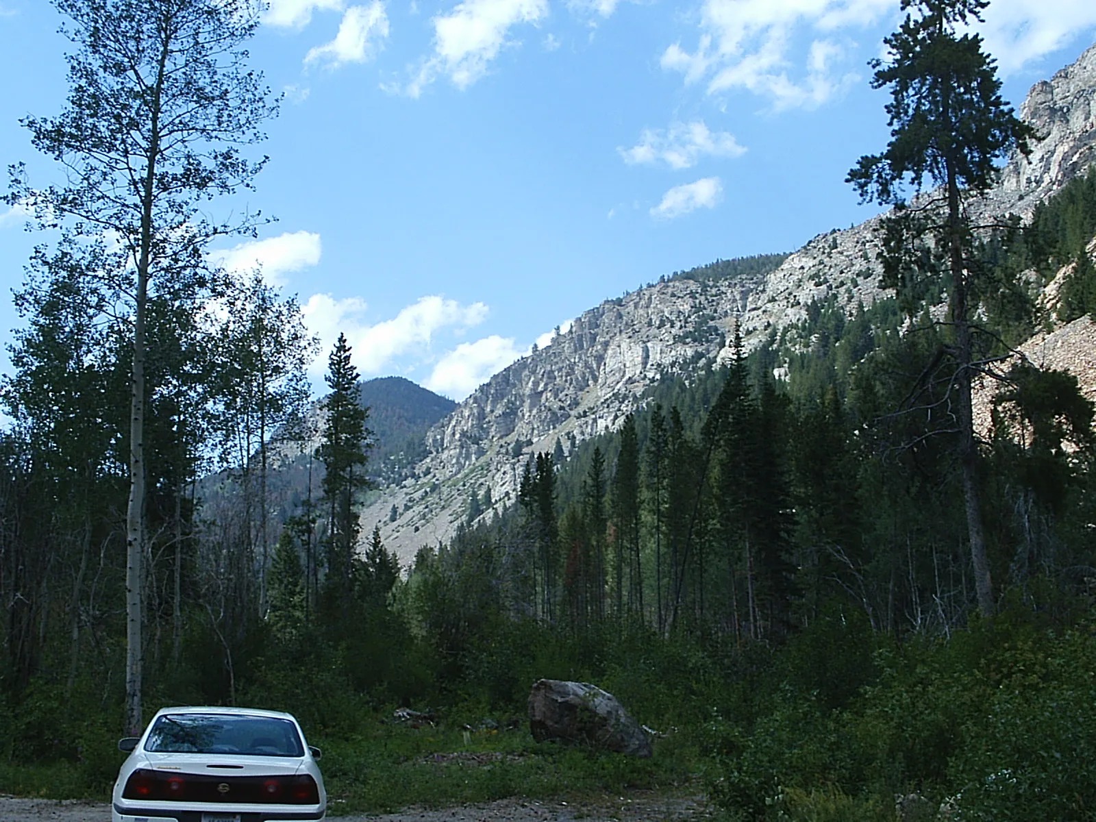 Rocky cliffs above a conifer-lined canyon with a car parked at left