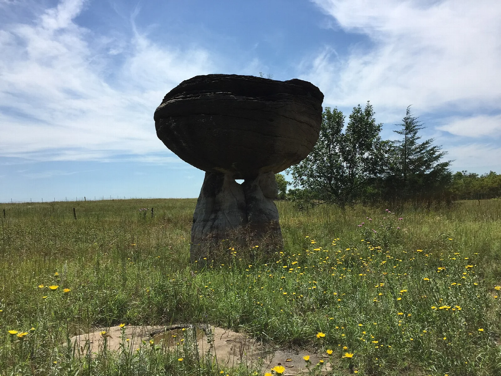 A mushroom-shaped rock with a flat cap on a narrow stem in a grassy field under blue sky