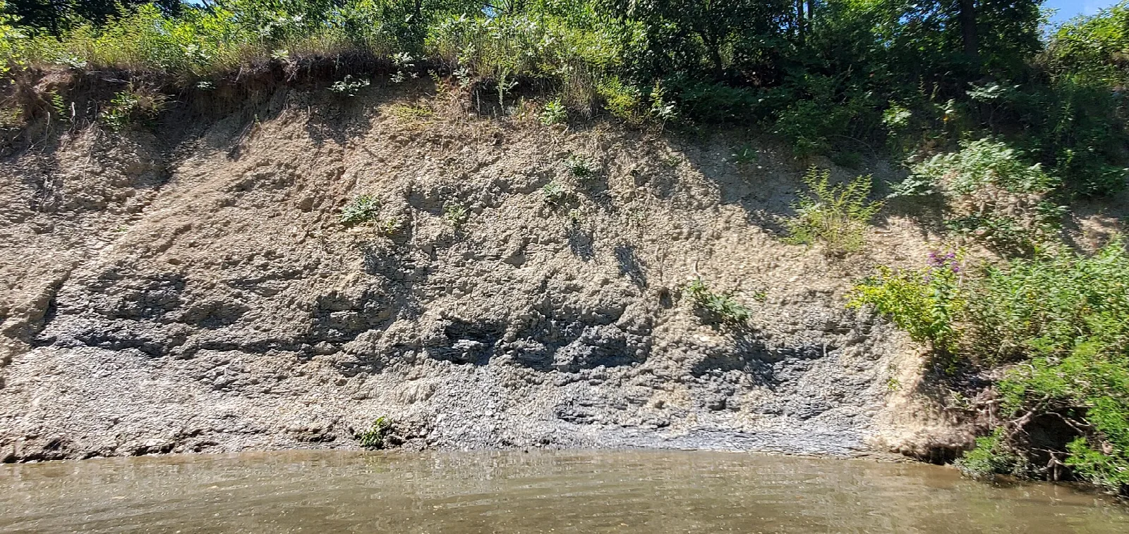 A muddy creek below a layered clay and rock bank with green brush on top