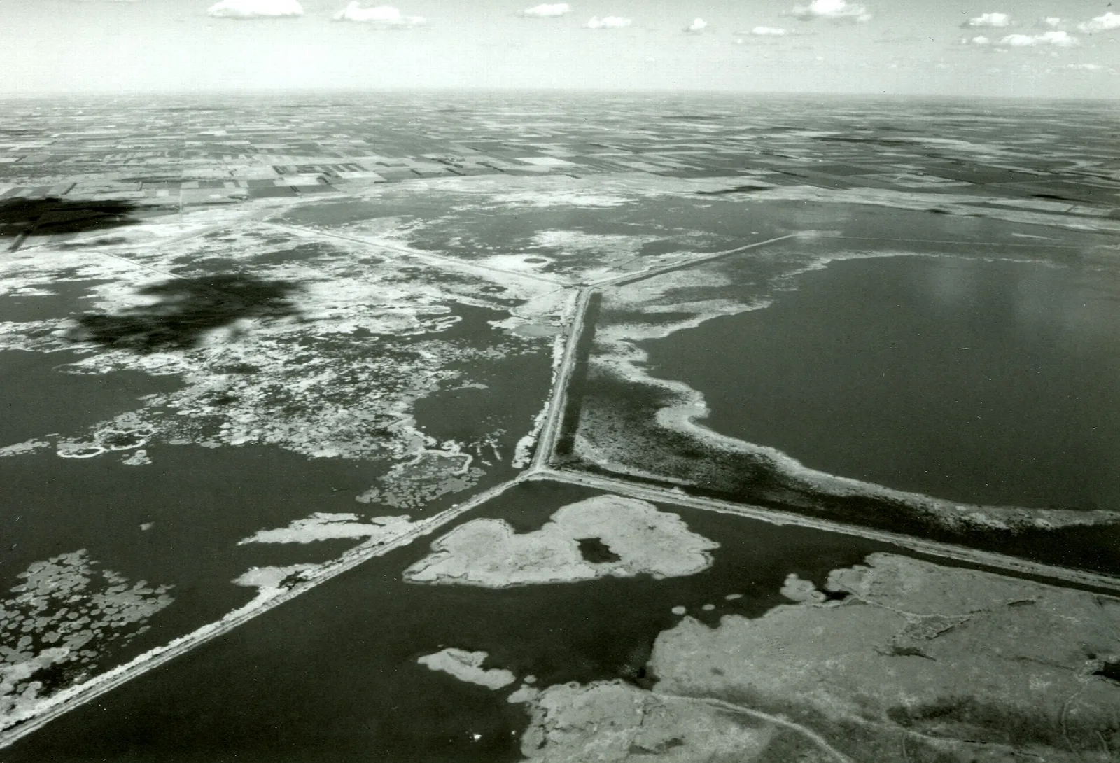 Black and white aerial view of marsh pools divided by dikes
