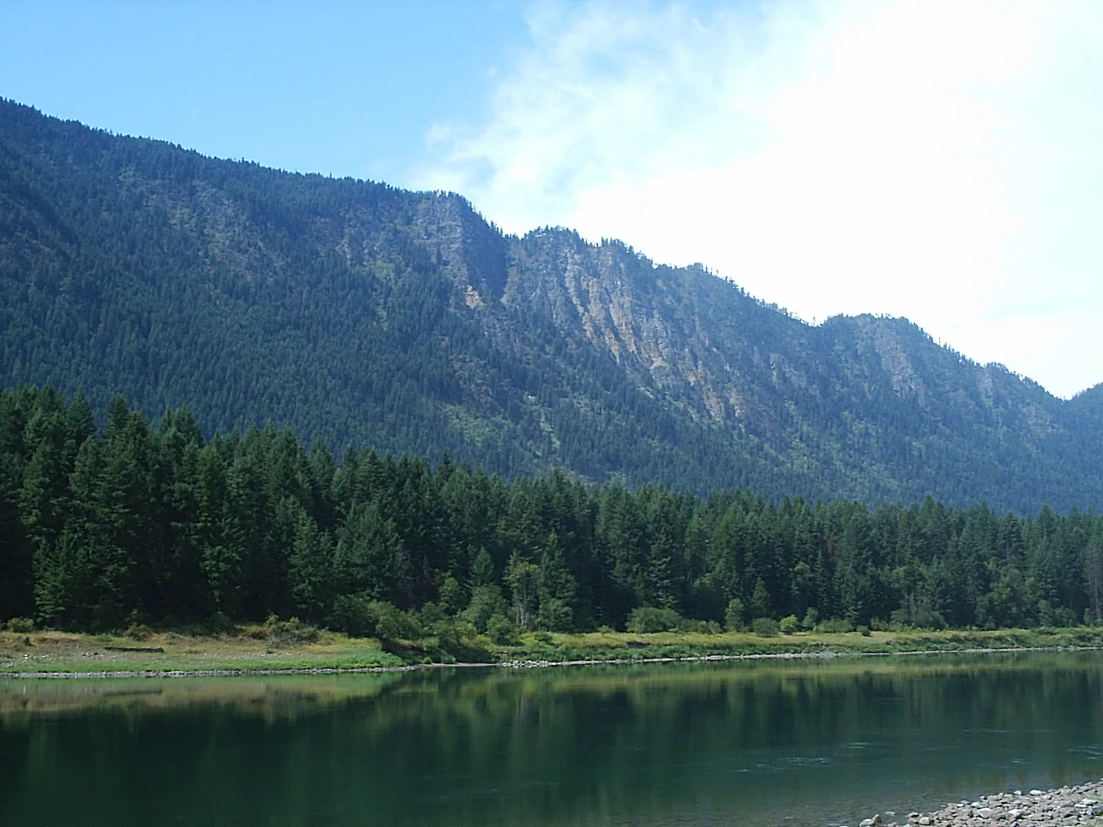 Forested mountain ridge above the calm Clark Fork River