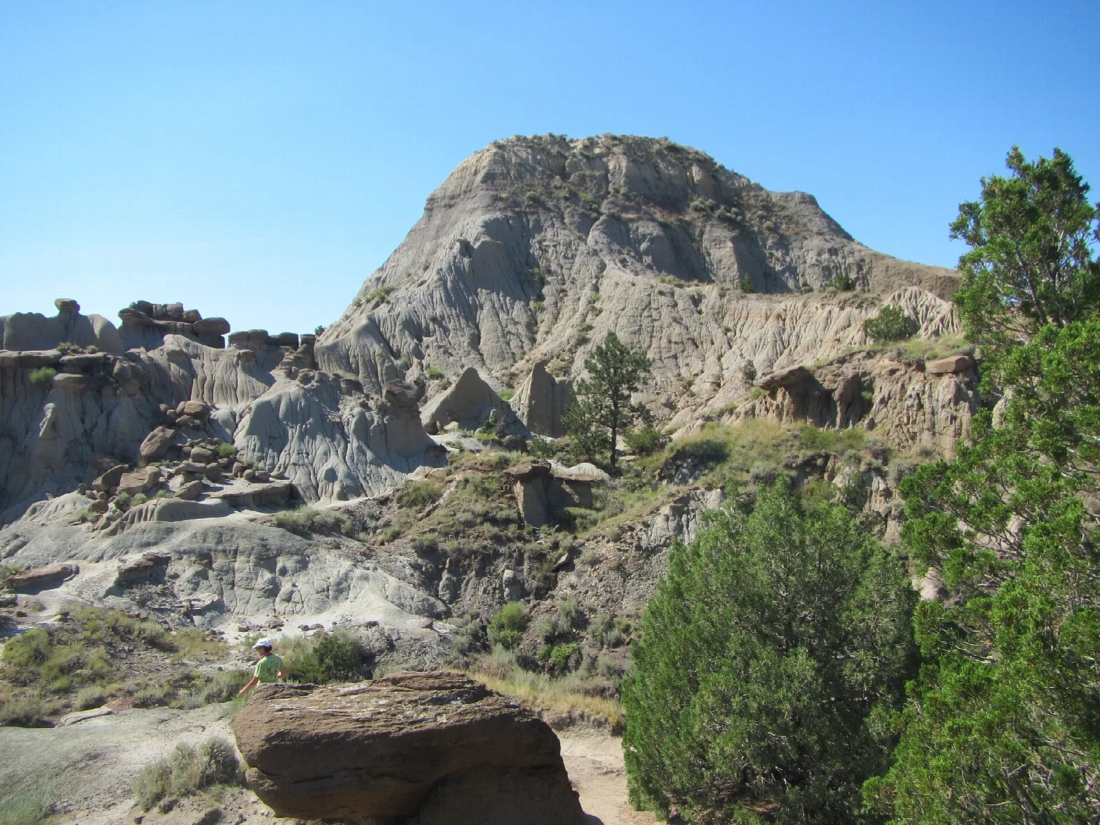 Large rounded badland butte with pines and eroded rock in the foreground