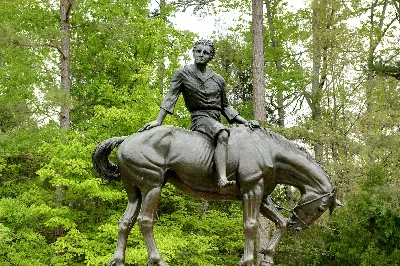 Andrew Jackson