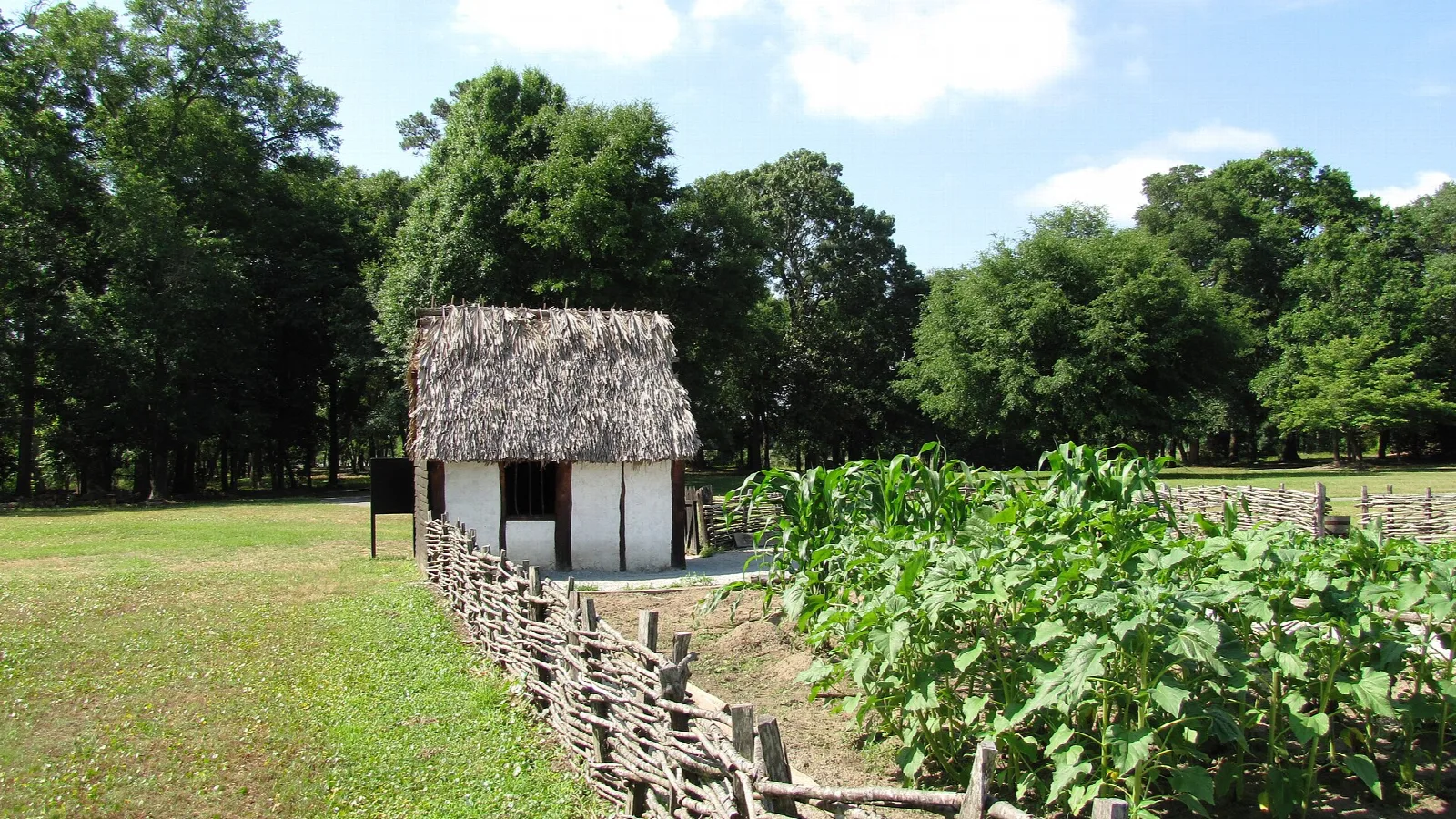 Small thatched hut beside a fenced garden of corn and green lawn