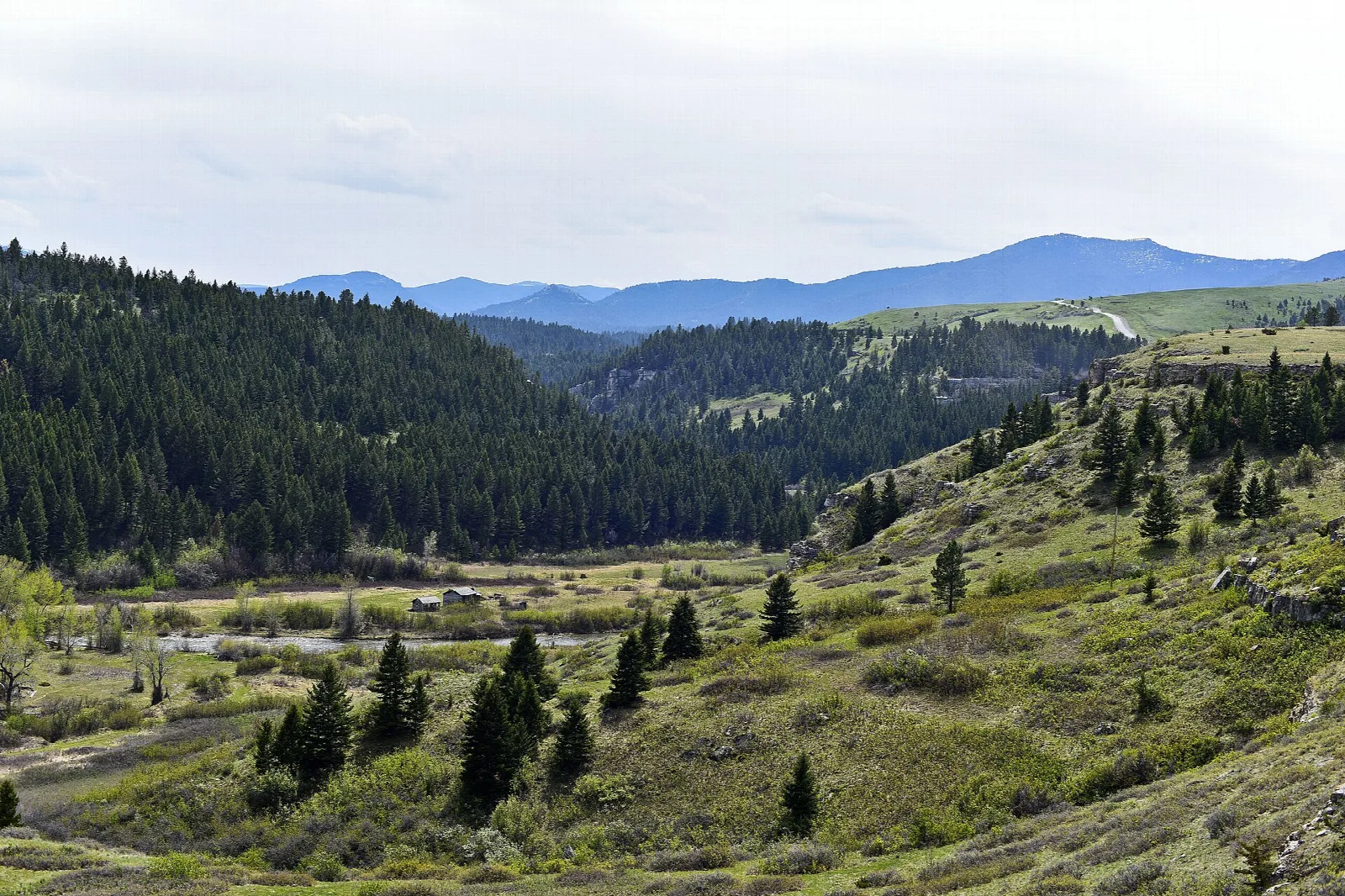 Forested valley and grassy slopes below a distant mountain ridge