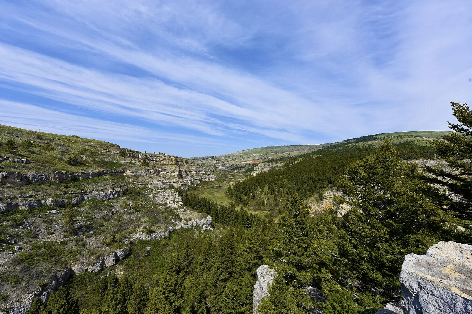 Rocky limestone ledge overlooking a forested canyon and rolling hills