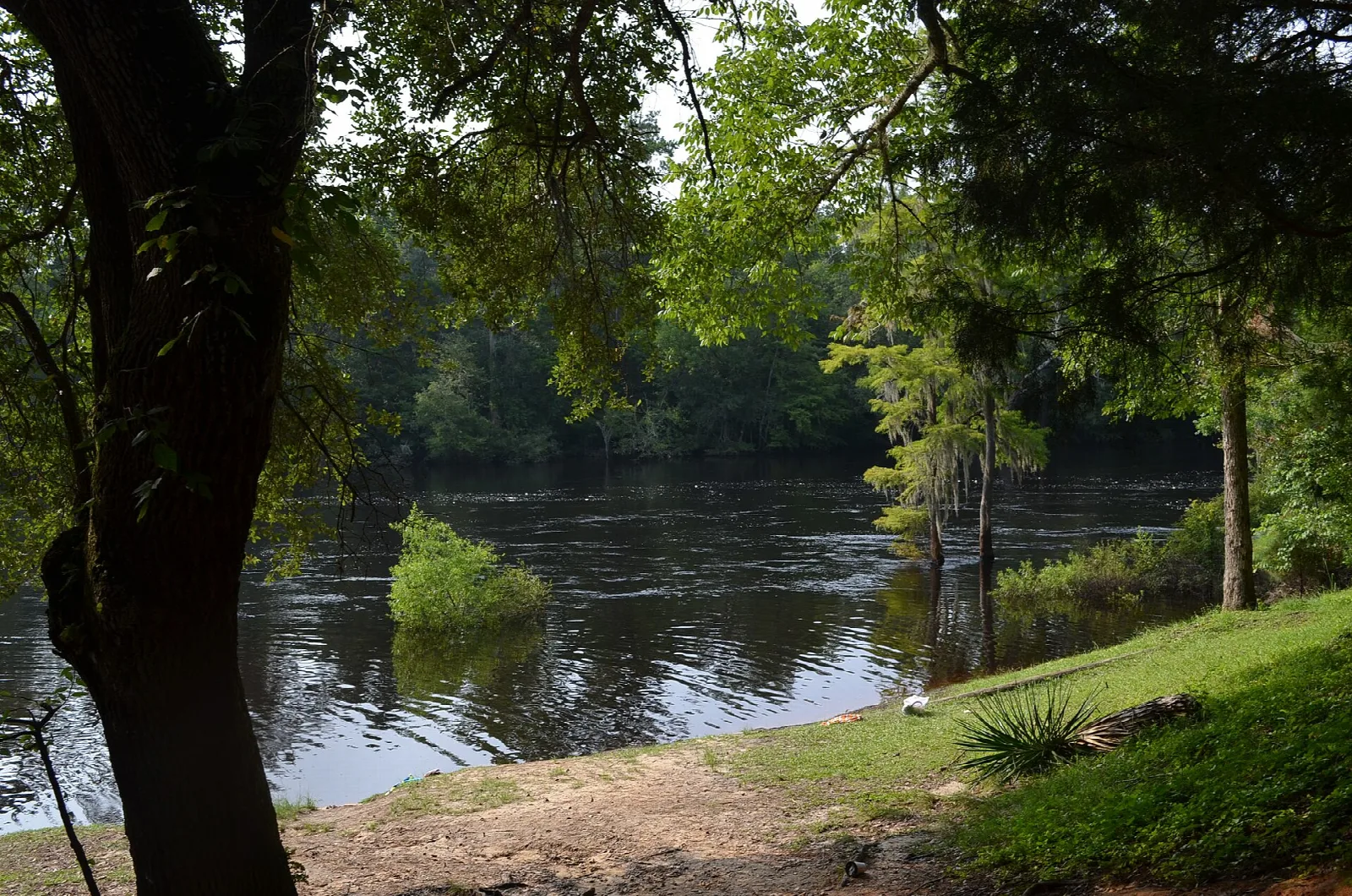 Dark river seen from a shady bank with trees on the far side