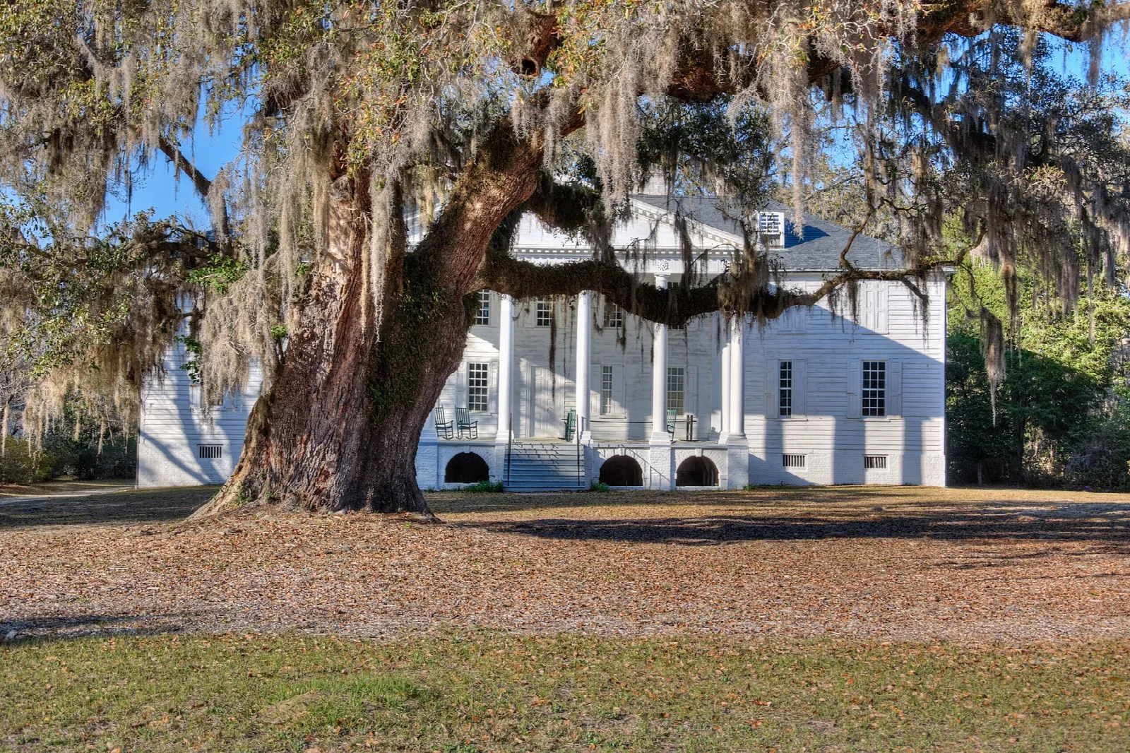 Large live oak draped with moss in front of the white plantation house