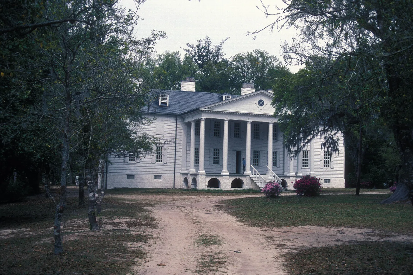 Dirt drive leading to the white columned plantation house between trees