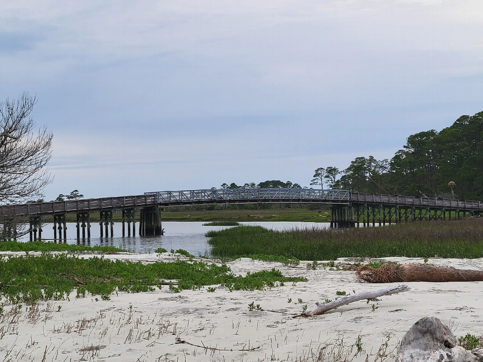 Wooden bridge crossing a tidal marsh toward a wooded shore
