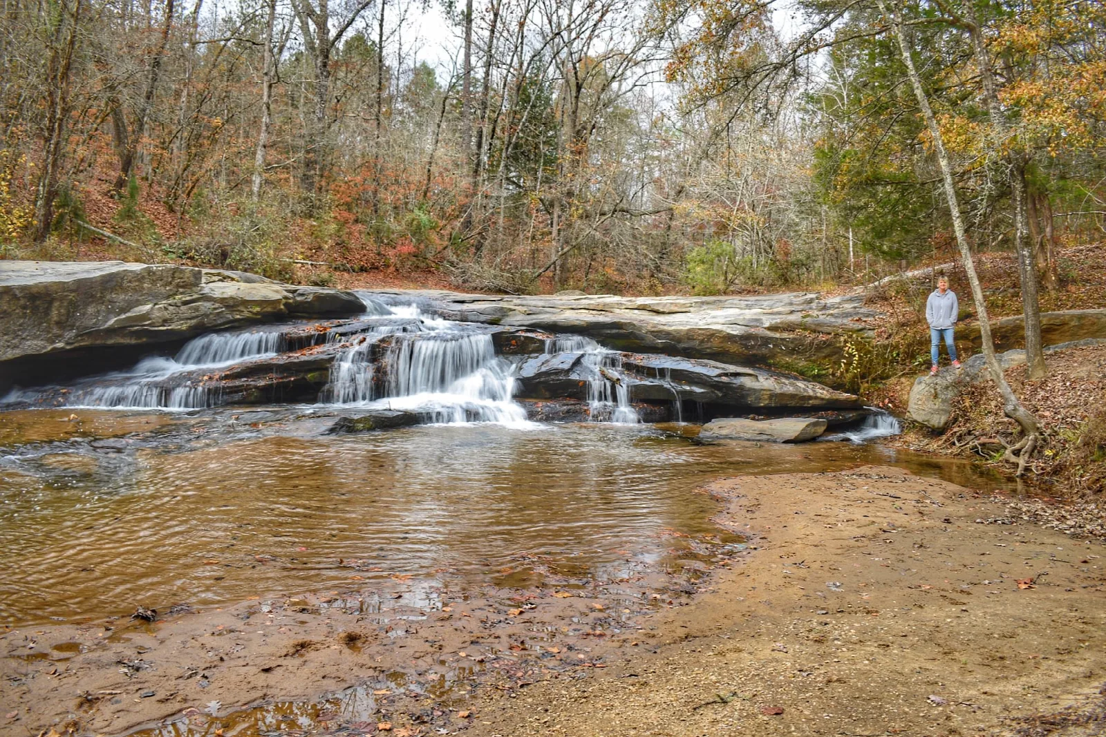 Shallow cascade over rock ledges into a pool, with woods on both sides