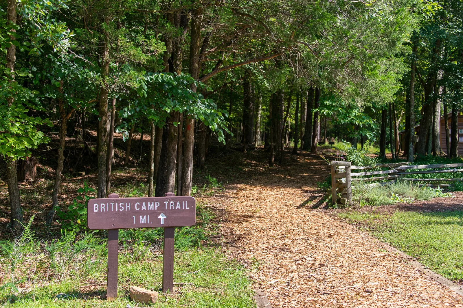 Mulch trail through green woods with a wooden trail marker
