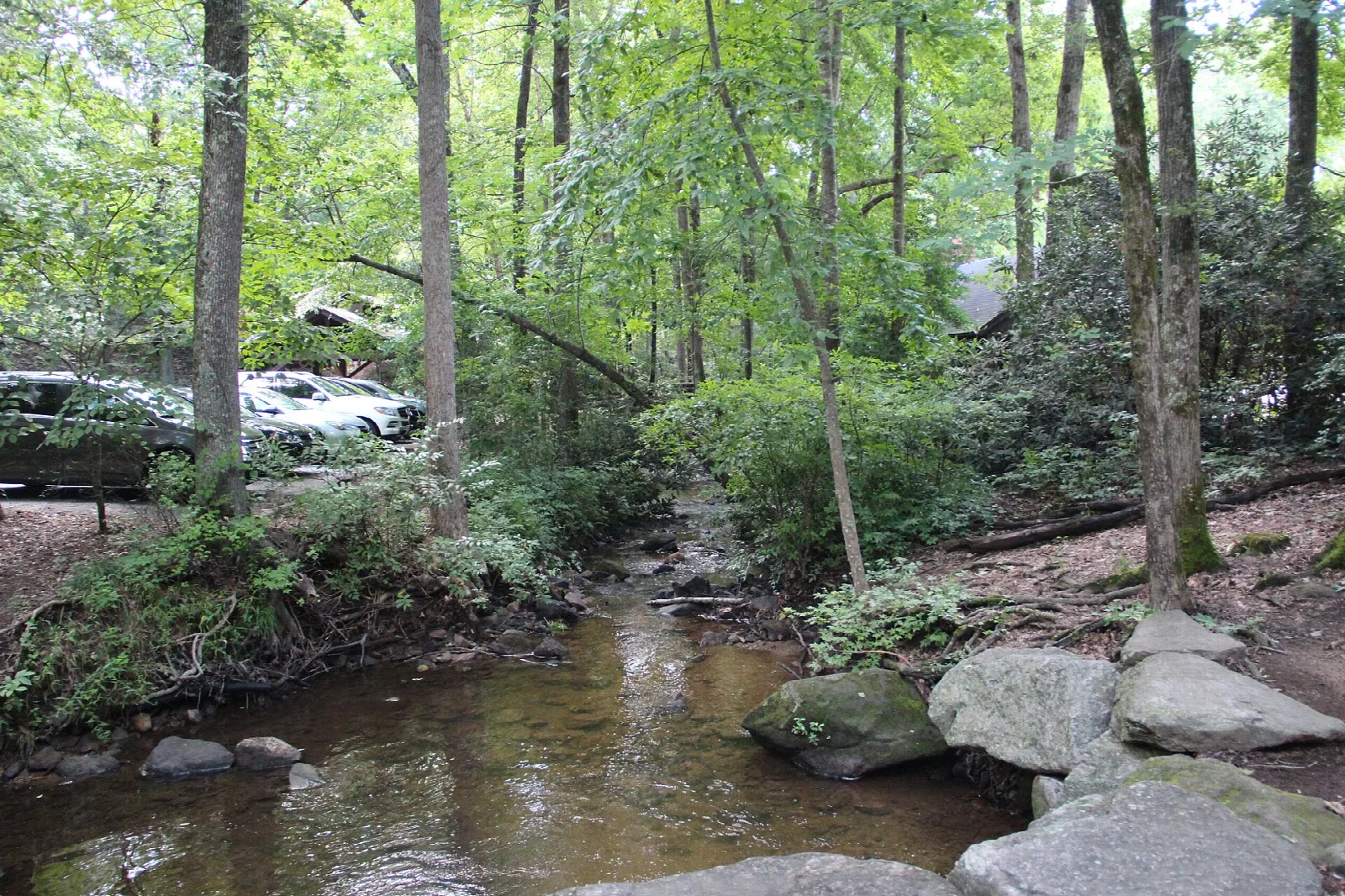 Shallow creek running over rocks through woods