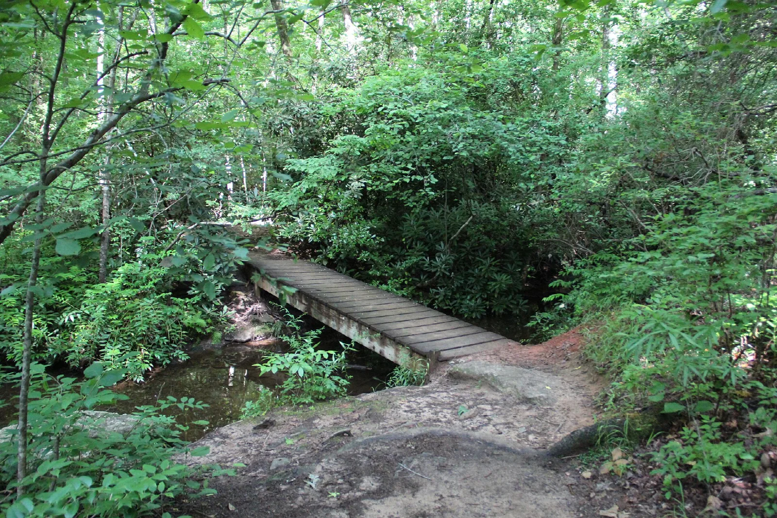 Wooden footbridge on a forest trail over a small stream