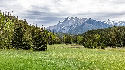 Spring Meadow Lake