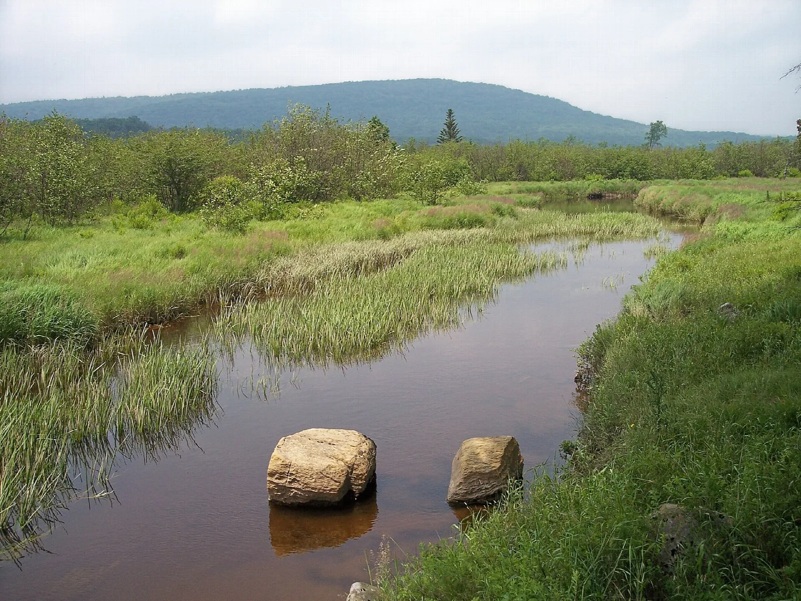 Dark river bending through grassy wetland with two boulders and a ridge beyond