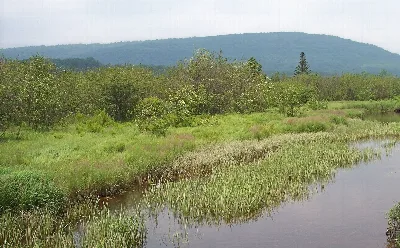 Canaan Valley Resort State Park