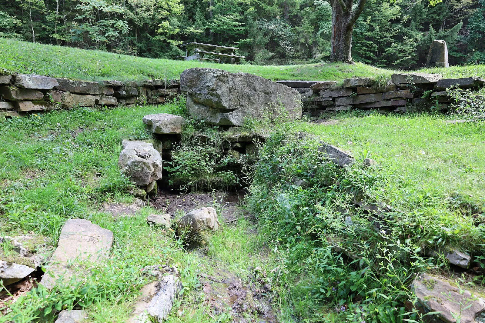Low stone wall and rocks in a grassy clearing with woods behind