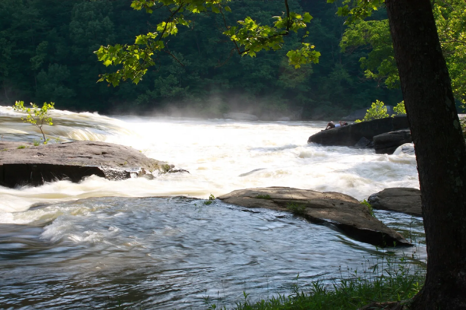 White water rushing over flat rock ledges beside a tree trunk