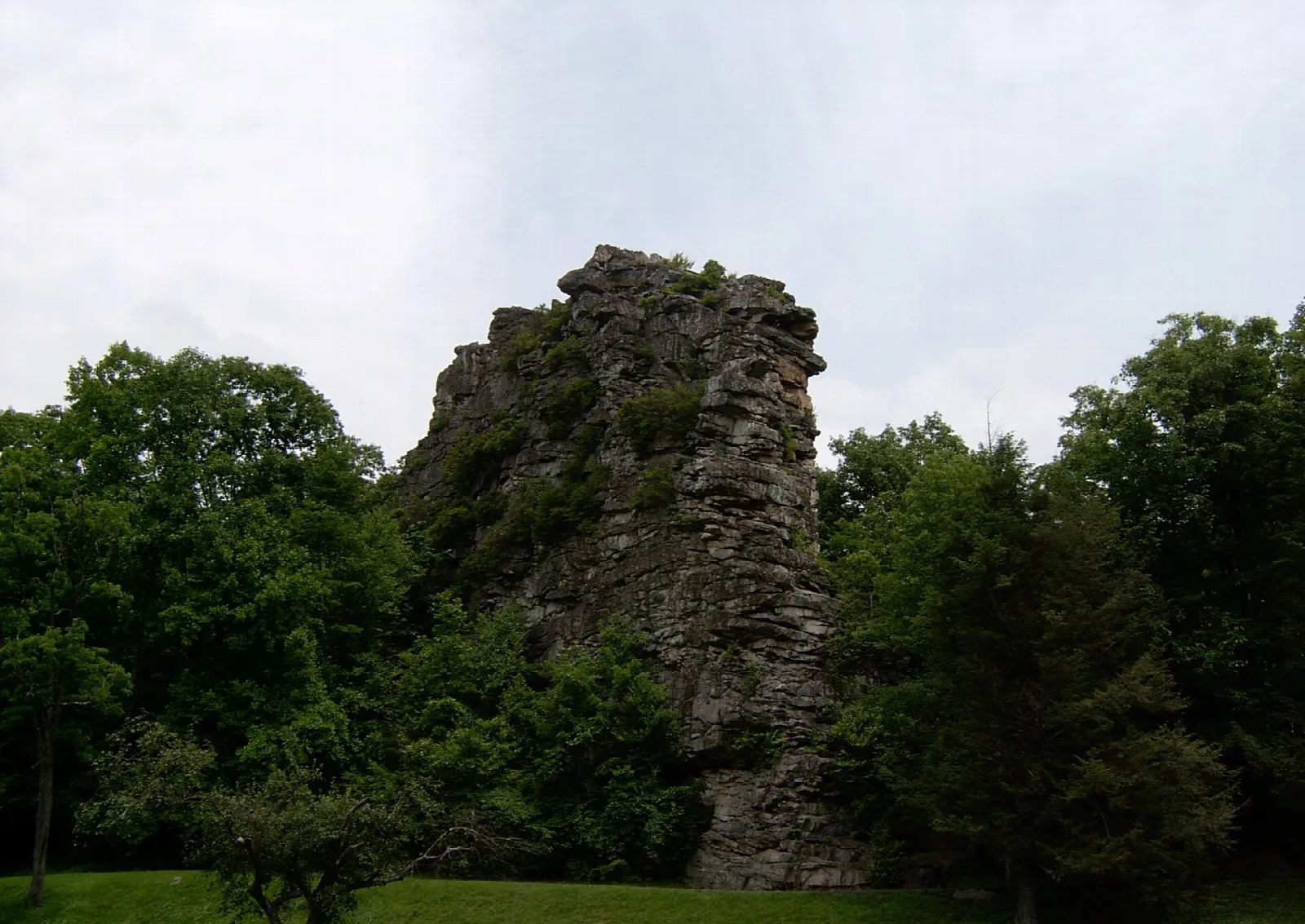 Tall rocky sandstone outcrop rising above green trees