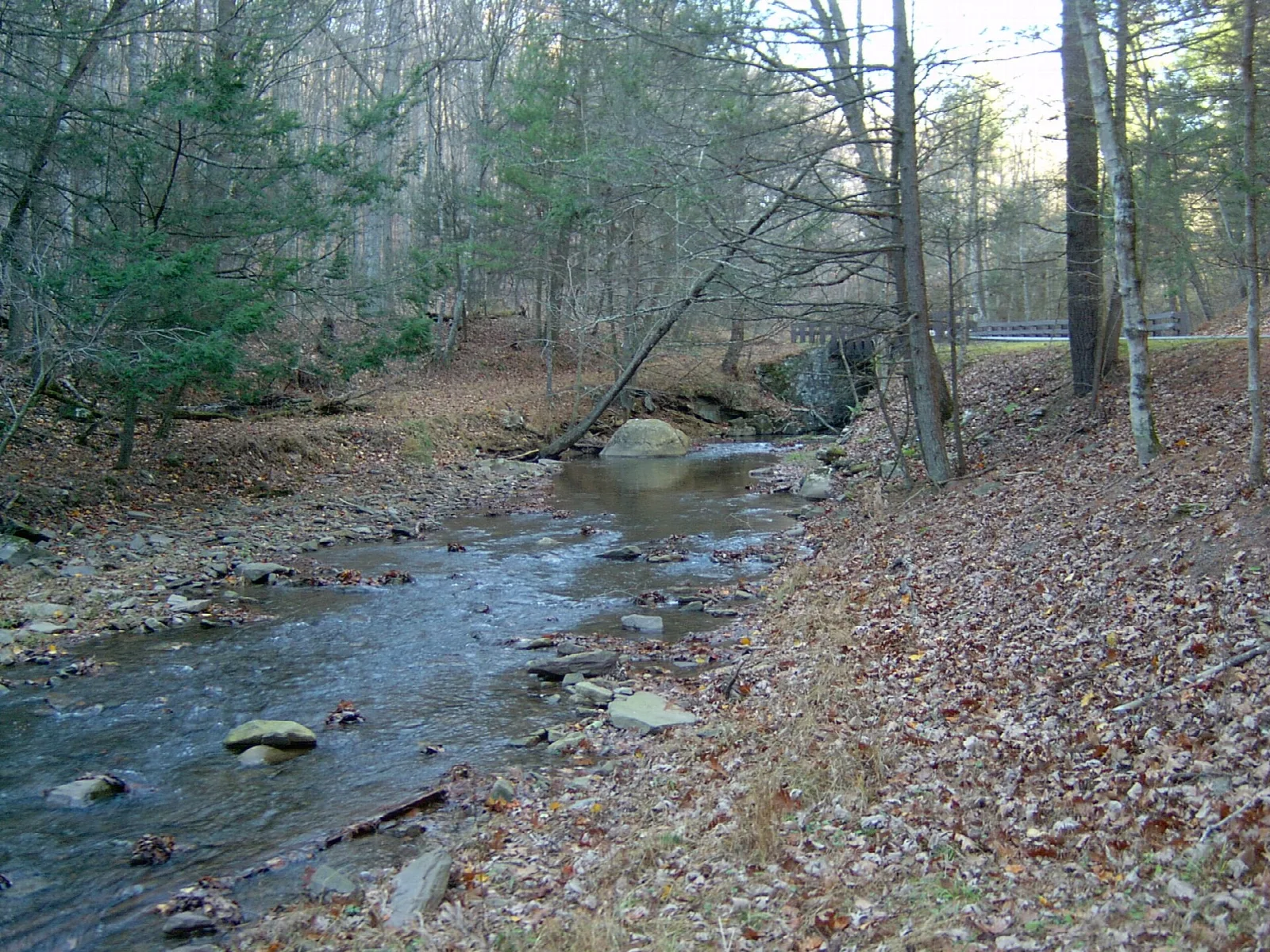 Rocky stream running through bare winter woods