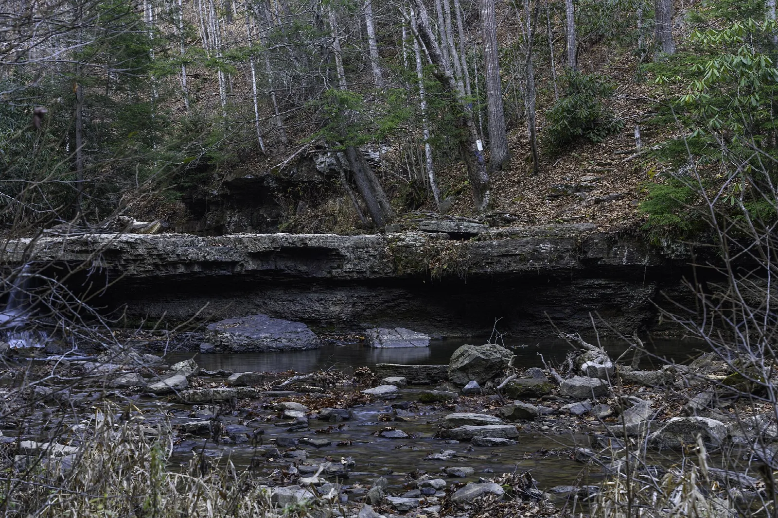 Flat rock ledge above a rocky creek bed in bare woods