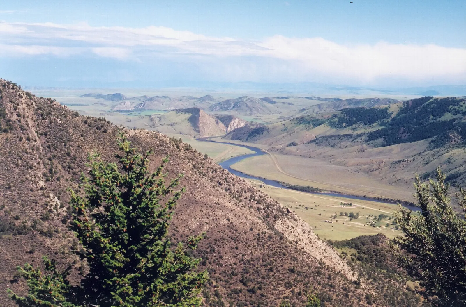River winding through a wide valley seen from a pine-covered mountainside