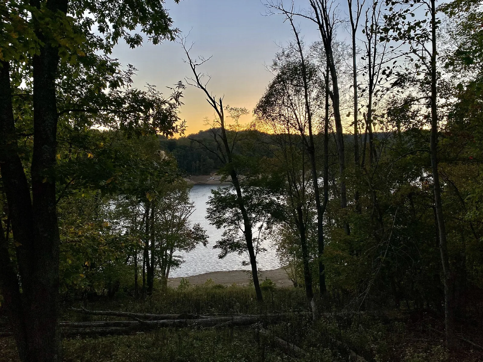 Lake glimpsed through bare trees at sunset