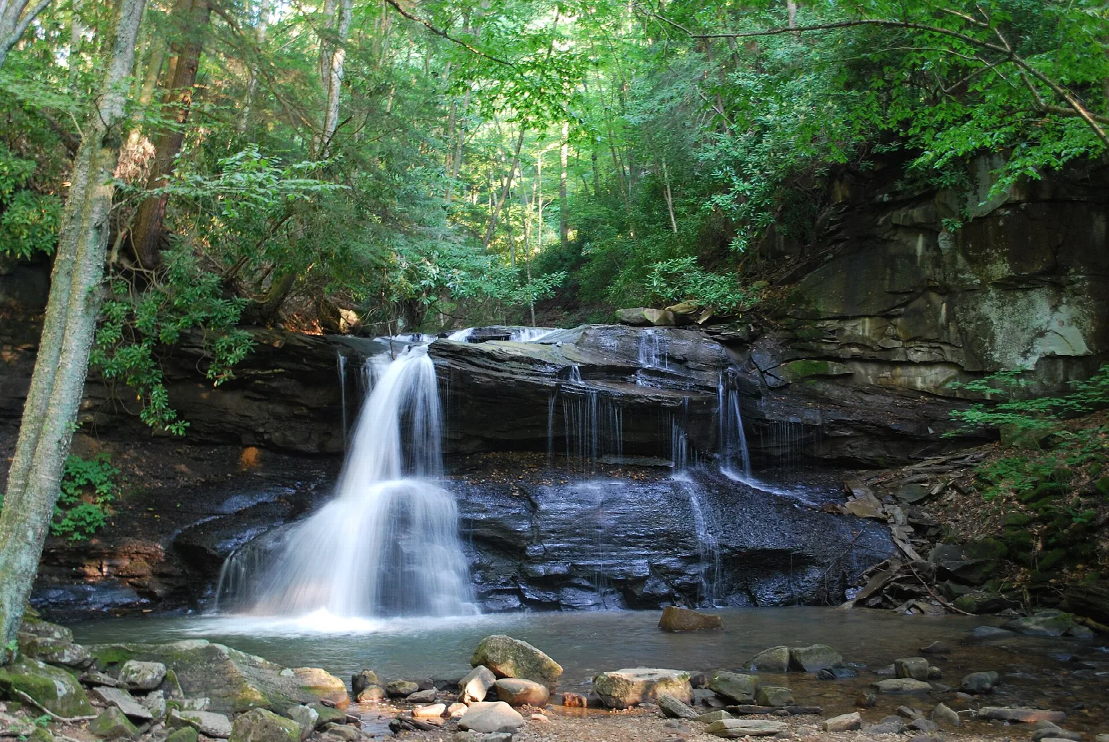 Small waterfall over dark rock ledges into a pool in green woods