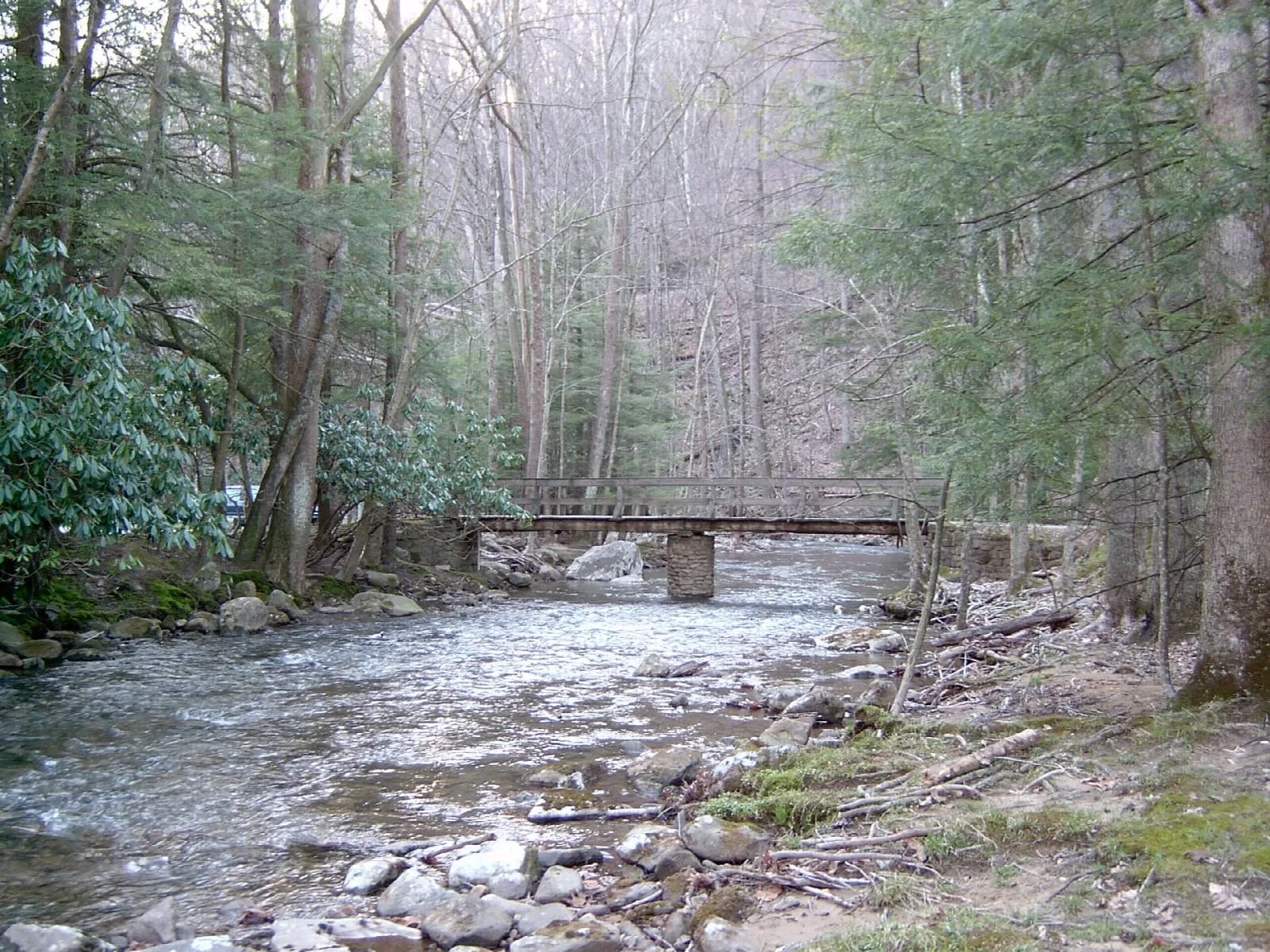 Footbridge over a rocky river in a forest