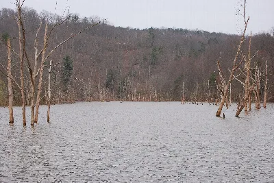 North Bend State Park