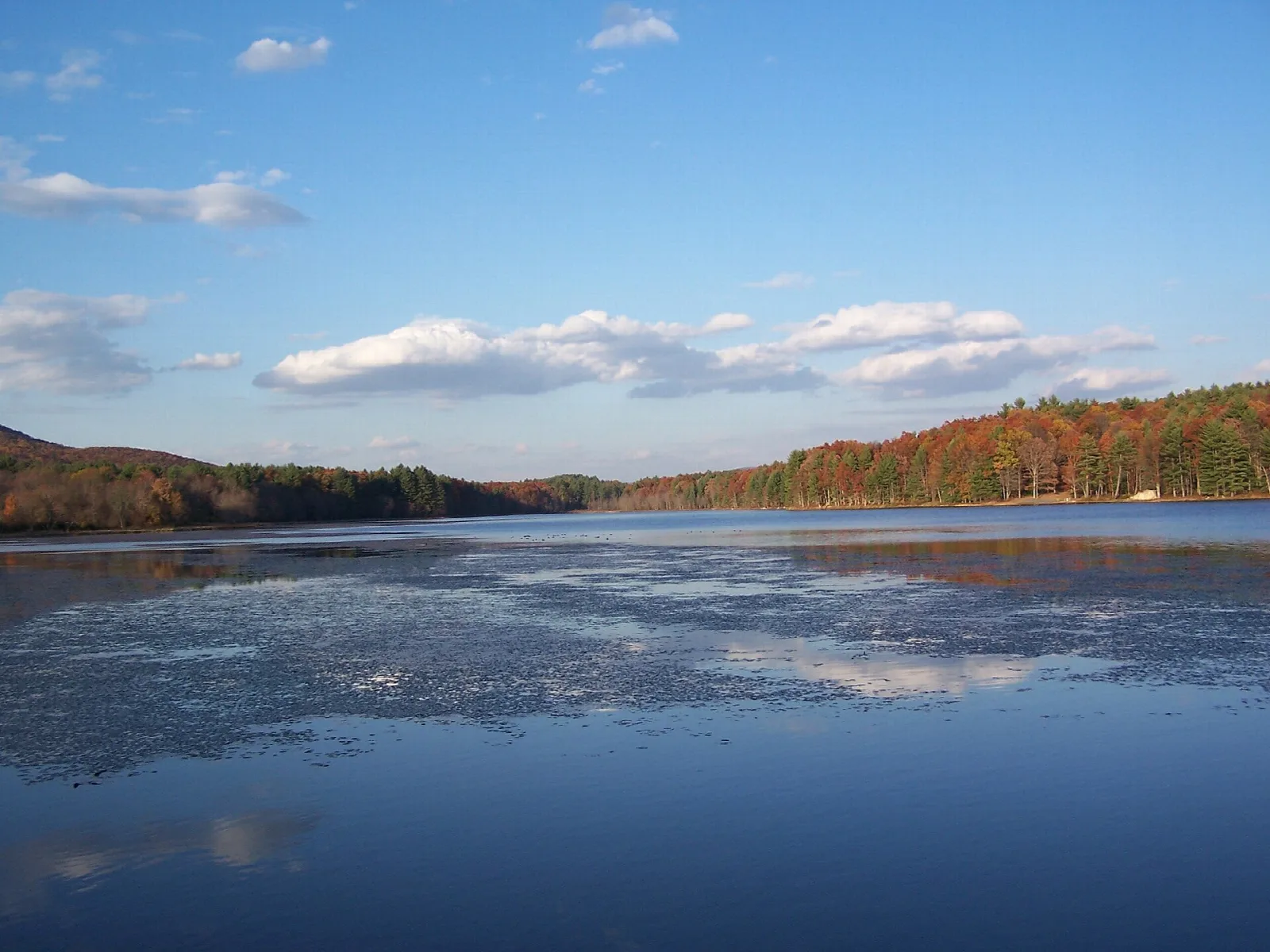 Calm lake with a tree-lined far shore in autumn color under a blue sky