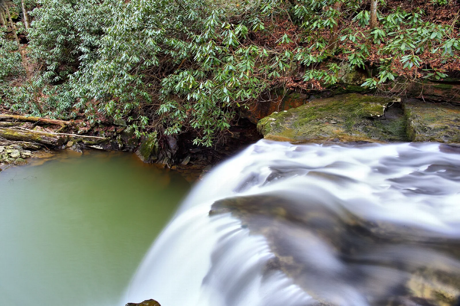 Smooth water sliding over the top of a falls with rhododendron above